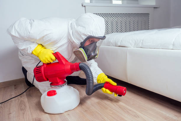 Best Fumigation Services  in Nacogdoches, TX